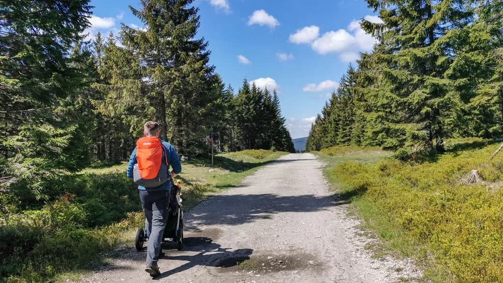 Góry Izerskie szlaki: 6 tras dla każdego poziomu zaawansowania