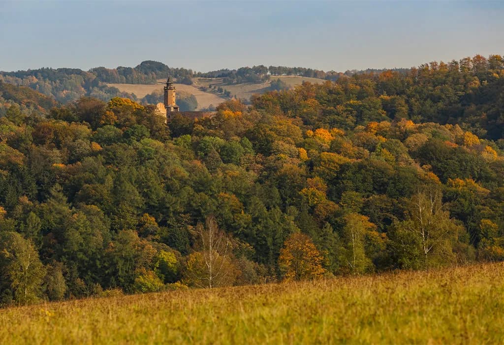 Najciekawsze atrakcje w Zagórzu, które musisz zobaczyć
