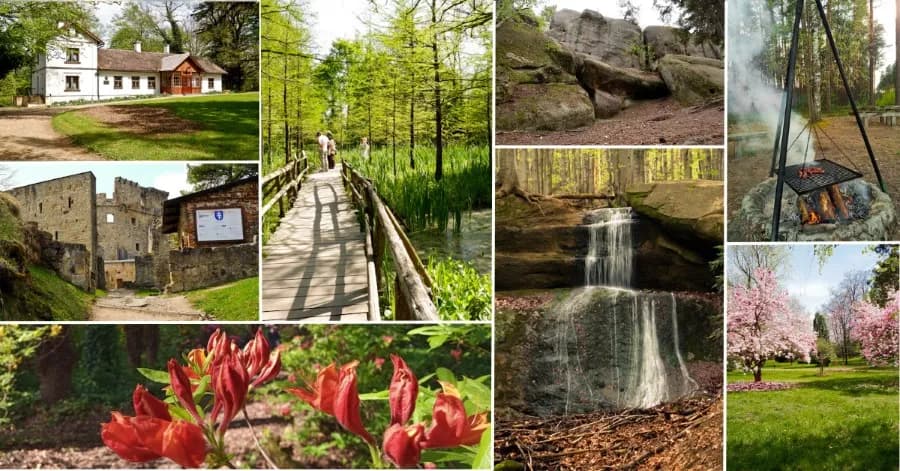 Majówka na Śląsku: 10 atrakcji, które Cię zaskoczą na weekend